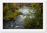 autum colors of taiga-3748 * 900 x 600 * (787KB)